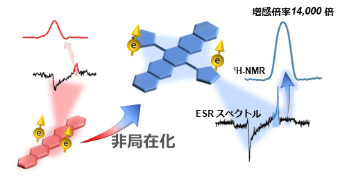 高核偏極化のための高性能な色素分子の開発に成功～高感度MRI癌診断の実現に向け大きく前進～ 京都大学理学研究科・理学部